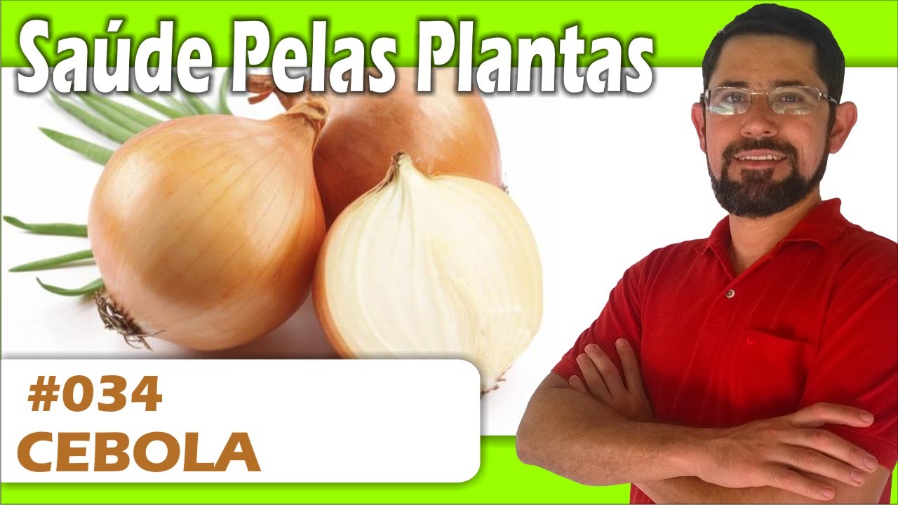 Saúde Pelas Plantas - Cebola [trombose, arteriosclerose, colesterol, diabetes, gripe, bronquite]