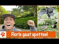 Dingen die je niet wist over dieren die je heel vaak ziet! | DierenpraatTV