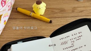 Download lagu 💛vlog🤎 만년필 2자루 언박싱하고 다이어리 자랑하는 명이로그 (  *  ) mp3