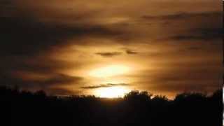 ALWAYS ON MY MIND = WILLIE NELSON