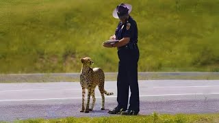Miniature vidéo