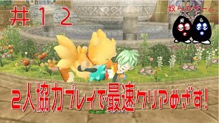 【目出し実況】2人協力プレイでチョコボの不思議なダンジョン エブリバディ！最速クリア目指す忙しい人向けな奴ら！井１２【光の守護者】