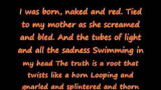 The End (Nervosa) (19)