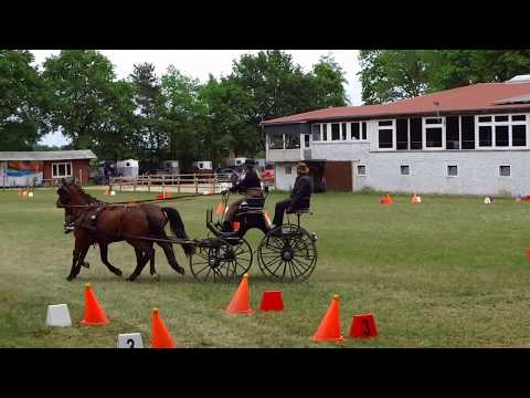 Fahrturnier Alfhausen 25.5.2019