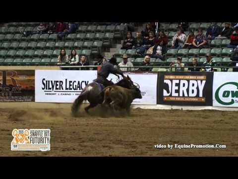 Starlight Kisses & Jake Telford - 2015 NRCHA Snaffle Bit Futurity Open Champions