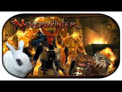 NEVERWINTER: Paladin-LP 🐇 150 - Traue keinem Zwerg, den du nicht selbst getötet hast