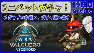 【ARK】旦那が楽しむARK生活 バルゲロ編~19日目~【PS5】