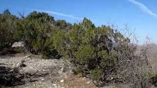 preview picture of video 'Manzanita Ridge Trail, New Mexico USA'