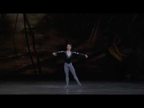 My Top 10 Favourite Male Ballet Dancers