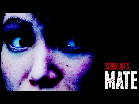 SCHOLAR'S MATEʥ顼ᥤȡPlayStation 5/PlayStation 4ѥڥ󥹥ۥ顼