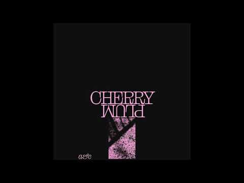 Astronauts, etc. - Cherry Plum