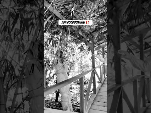 Awas Ada POCONG di RUMAH PENGABDI SETAN di PANGALENGAN ⁉️