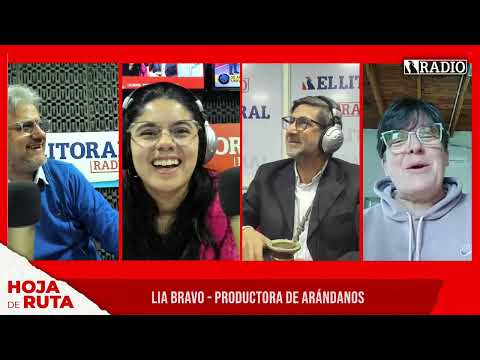 Producción de arándanos en Corrientes: "La situación económica nos afecta enormemente"