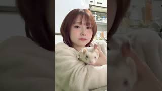 あきちゃんにぎり飯からの～ | #aisakamegumi (#Twitch)