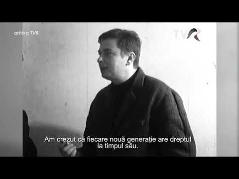 Nichita Stănescu - Dreptul nostru de a pune o virgulă