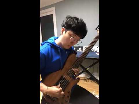 Dominique Di Piazza - Marie (Bass Cover)