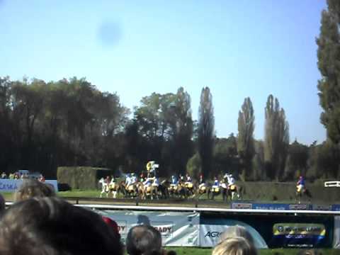 Zahájení Velké Pardubické