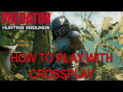Predator Hunting Grounds - How To Play With Crossplay (Predator Playing With Crossplay)
