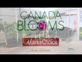 National Home Show's video thumbnail