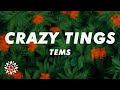 Tems - Crazy Tings (Lyrics)