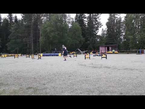 Vaisu Kemi 11.8.2018 hyppyrata