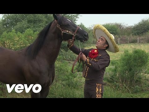 Mi Boleto - Vicente Fernández
