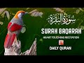 Surah Al Baqarah Full Quick Recitation By Sheikh Mishary Al Afasy سورة البقرة 6 May 2025