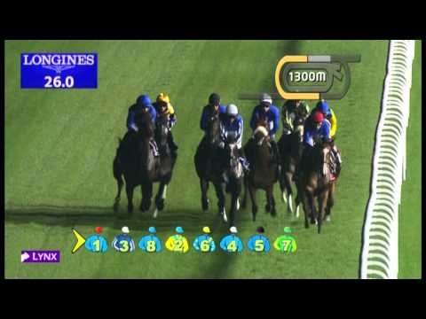 24.01.2013 Meydan (Dubai-UAE) 5.Race Cape Verdi 2013 - Group II 1.600 m