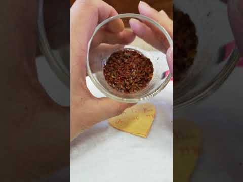 巫術行者-214 愛情小巫術