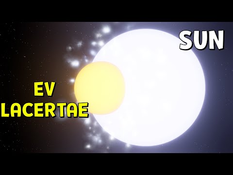 ☀EV Lacertae VS ☀the Sun | Universe Sandbox