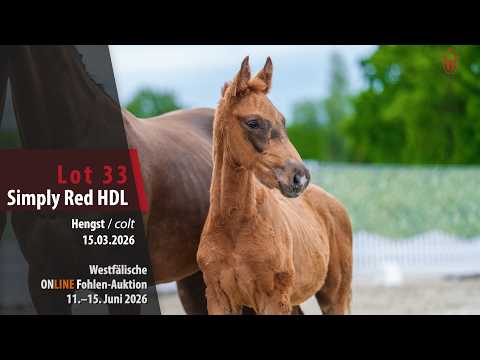 youtube preview