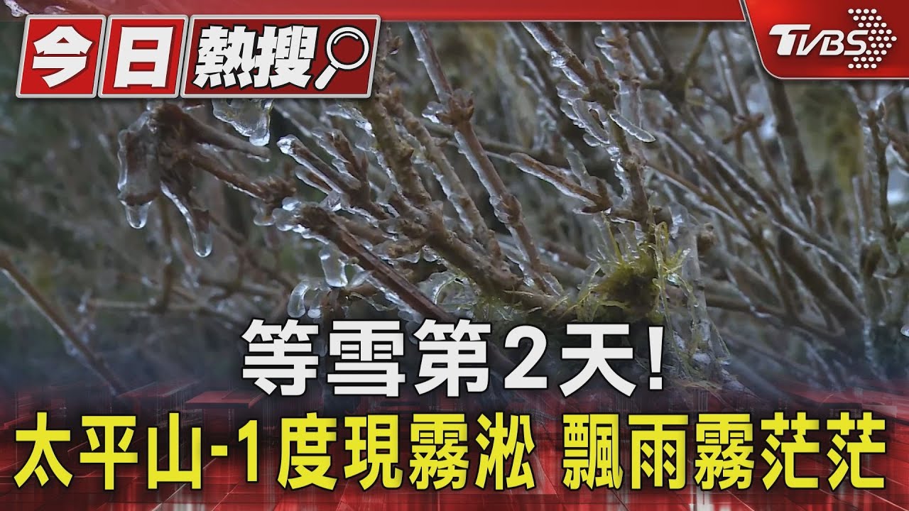 等雪第2天！太平山－1度　現霧淞飄雨霧茫茫