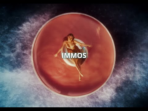 Nina Chuba feat. Jamule x Cro - IMMOS (prod. jxnas)