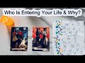 Who Is Entering Your Life Why Hindi Tarot Reading Timeless Pick A Card