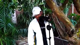 king&#39;tee-DE URN TALE