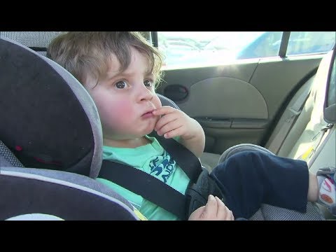 NY Child Safety In Vehicles