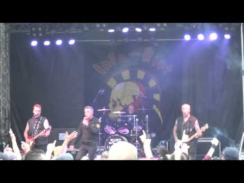 Infa Riot @ Ratrock Harelbeke 2014