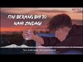 TERI JHUKI NAZAR Lofi