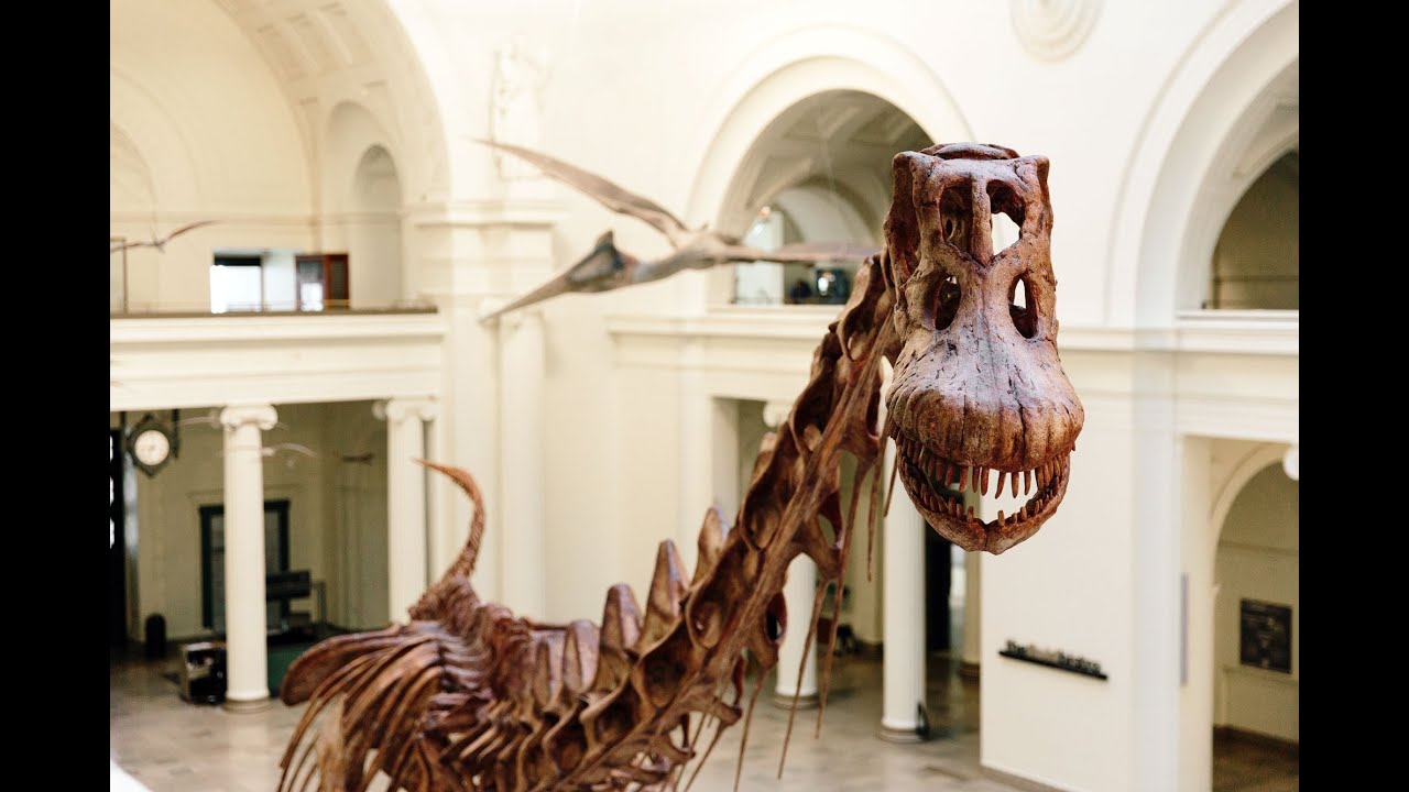 Making Máximo the Titanosaur