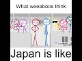 What Weeaboos Think Japan Is Like