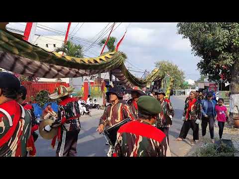 Dragon dance at Independence Day Carnival. #dragon #dragondance #creatorsearchinsights #creator 