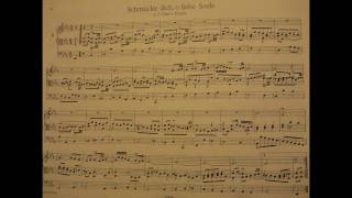 preview picture of video 'Schmucke Dich, o liebe Seele, by JS Bach, BWV 654'