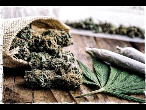 Fields Of Weed Promo Commercial!