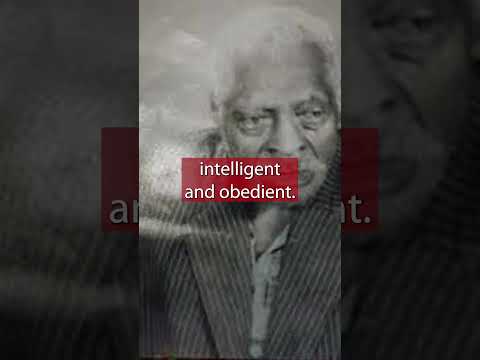 The  Breeding Slave with more than 200 Children!