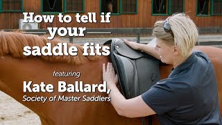 How to tell if your saddle fits | Kate Ballard, Society of Master Saddlers