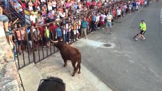 Cogida grave en villalar