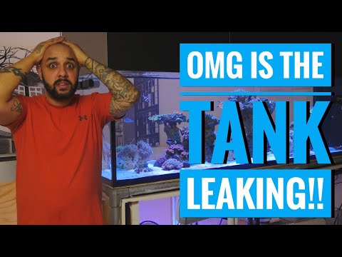 OMG The Tank Is Leaking!!