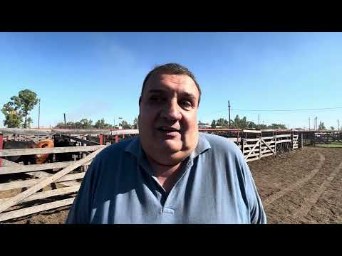 Silvio Mélida - Productores Rurales del Sud nos brinda un panorama de cómo están cerrando el 2025