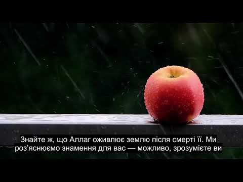 Глава 57 Залізо, Надзвичайно Потужне Читання Корану, 90+ Мовних Субтитрів