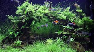 Miniatura filmu z YouTube